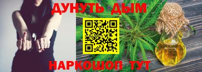 мдпв Гатчина