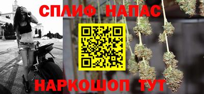 мдпв Гатчина