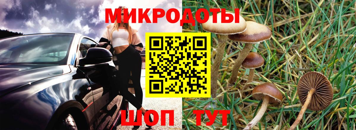 Зеленодольск  Галлюциногенные грибы Psilocybe  Вход с VPN 