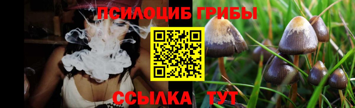 Галлюциногенные грибы мухоморы Зеленодольск